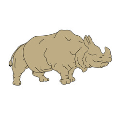 rhinoceros