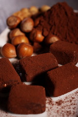 Tartufi al cioccolato