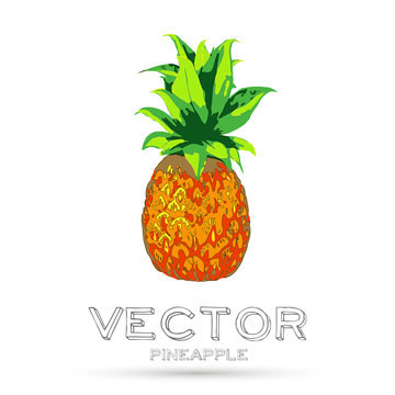 Pineapple vector illustration