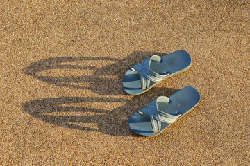 slippers in light