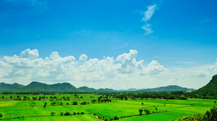 Fototapeta na wymiar Aerial view of a green rural area under blue sky