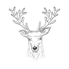 Christmas and New Year hand drawn lettering greeting card with sketch deer head