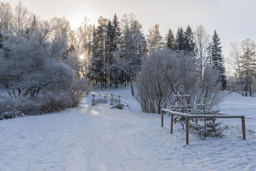 Winter park