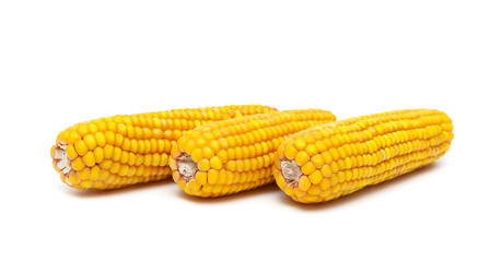 ripe ears of corn on a white background close-up