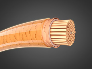 Geschädigtes Haar reparieren: Querschnitt 3D-Illustration