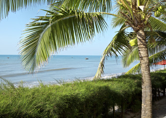 Fototapeta na wymiar Seascape with palm tree