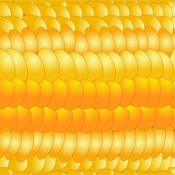 Corn pattern, texture. Vector illustration