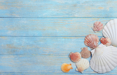 Seashells on wooden background