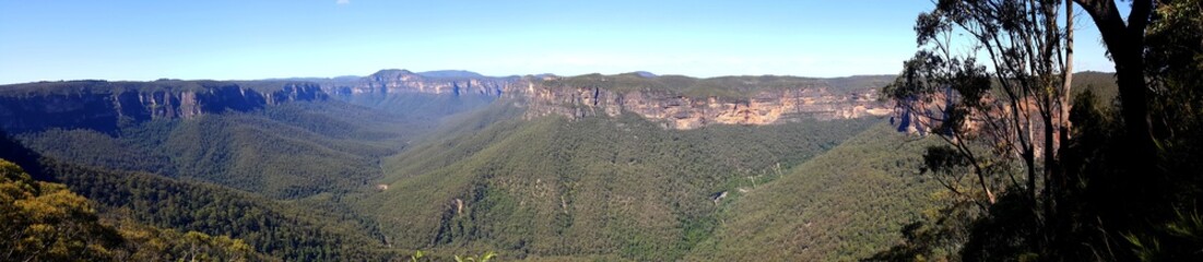 Fototapeta na wymiar Govett's gorge from Evans lookout, Blue Mountains, Australia