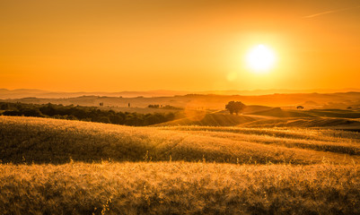Obraz premium Golden tuscan sunset