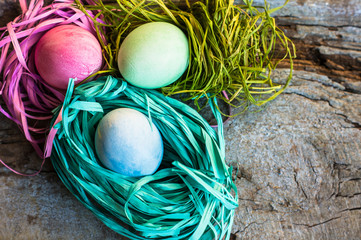 Easter concept with eggs and bunny