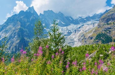 Mont Blanc Massive Scenery