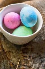 Easter concept with eggs and bunny