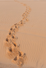 Footprint on sand deserts in Mui ne
