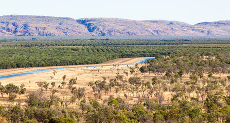 Fototapeta premium Irrigation in Kununurra