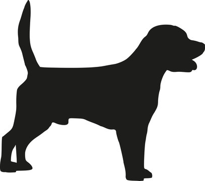 Beagle dog silhouette
