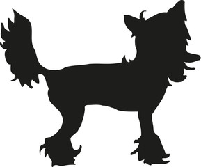 Chinese crested silhouette