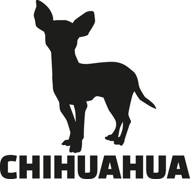 Chihuahua silhouette with breed name