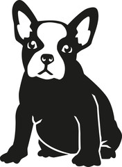 Sitting French bulldog