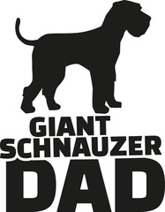 Giant Schnauzer dad