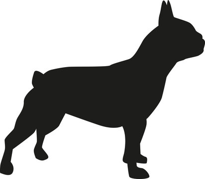 French bulldog silhouette