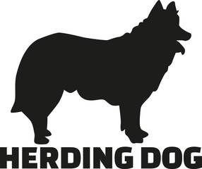 Naklejka na ściany i meble Herding dog with breed name