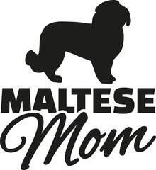 Maltese dog Mom