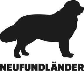 Newfoundland with german breed name