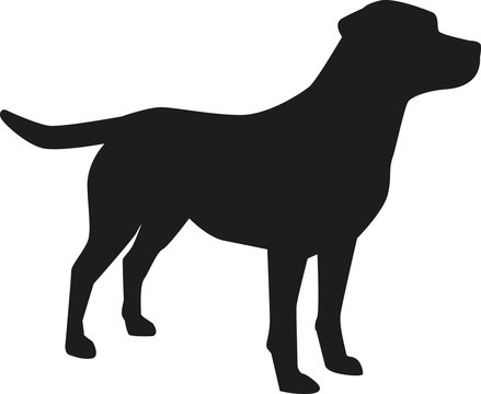 Labrador Retriever silhouette