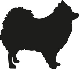 Pomeranian silhouette - obrazy, fototapety, plakaty
