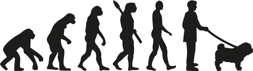 Shar pei dog owner evolution