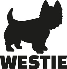 West Highland Terrier with breed name