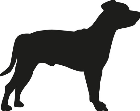 Staffordshire Bull Terrier silhouette