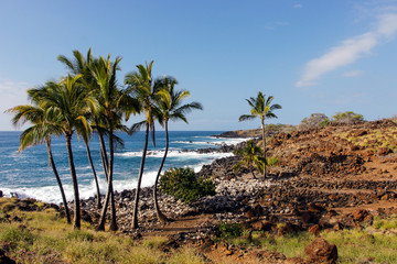 Fototapeta na wymiar Wild Hawaiian Beach