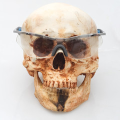 The skull wearing sports glasses