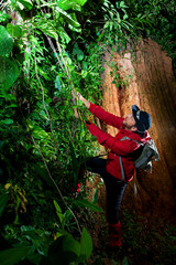 Naklejka na ściany i meble Traveller search and explore through tropical rain forest - Fiel