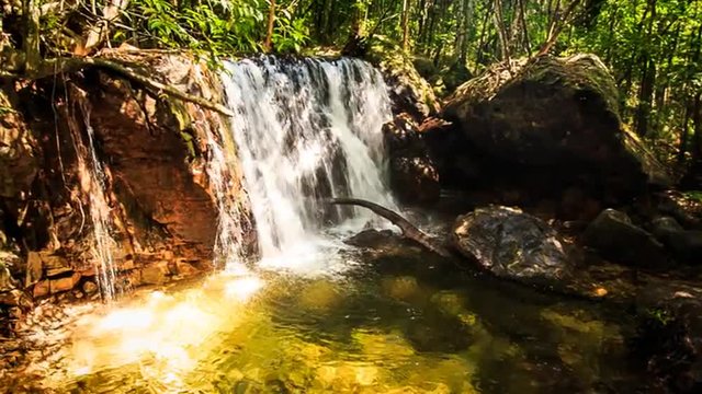 Moving Away from Small Waterfall Falling into Pond in Forest