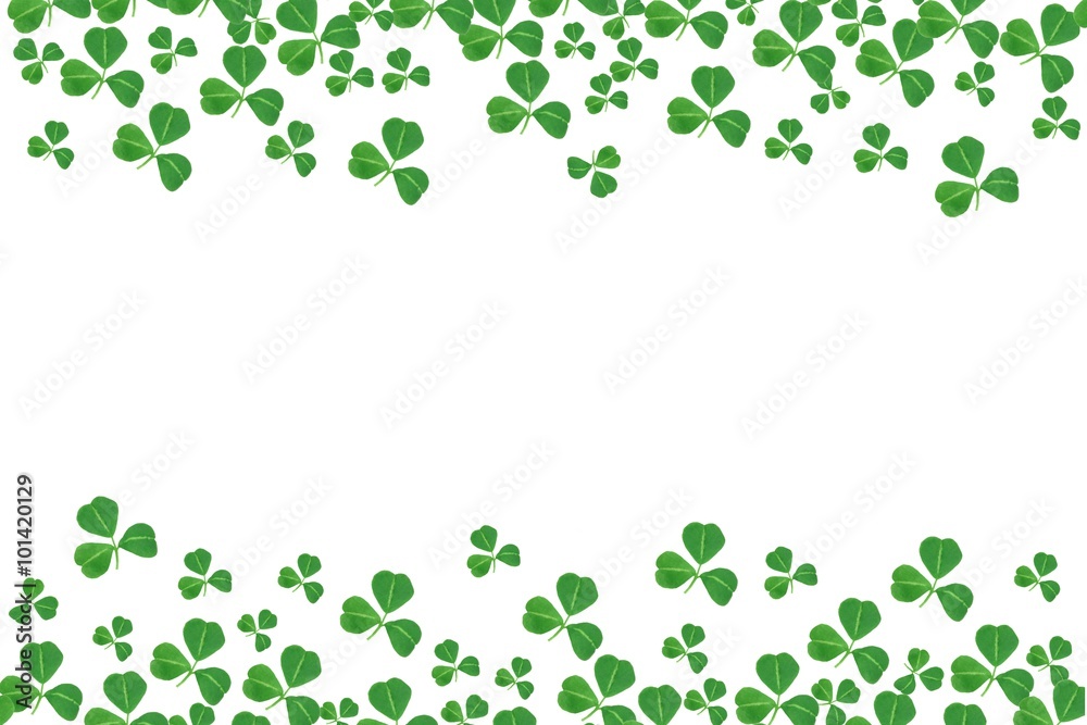 Poster St Patricks Day double border of shamrocks over a white background