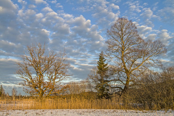 Winter im Isarwinkel