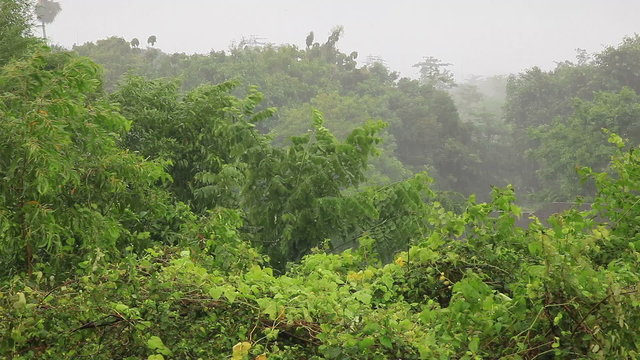 Heavy tropical storm with rain in january, Bali, Indonesia