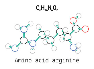 C6H14N4O2 amino acid Arginine molecule