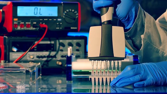 Sample preparation for DNA electrophoresis. Adding samples in Gel Electrophoresis
