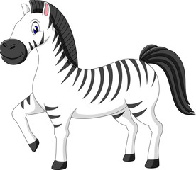 Fototapeta na wymiar illustration of cute zebra cartoon