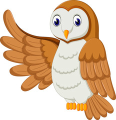 illustration of cute owl cartoon