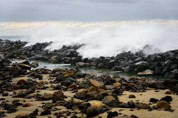 Morro Bay State Park
