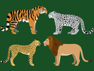  Illustration of lion, tiger, cheetah and snow leopard.