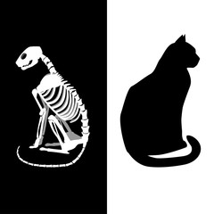 Schrodingers cat vector illustration.