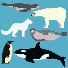 Set of cartoon arctic and antarctic animals.