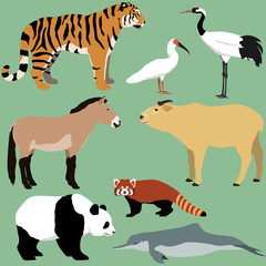 Vector set of cartoon animals of China.