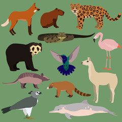 Vector set of cartoon south american animals.